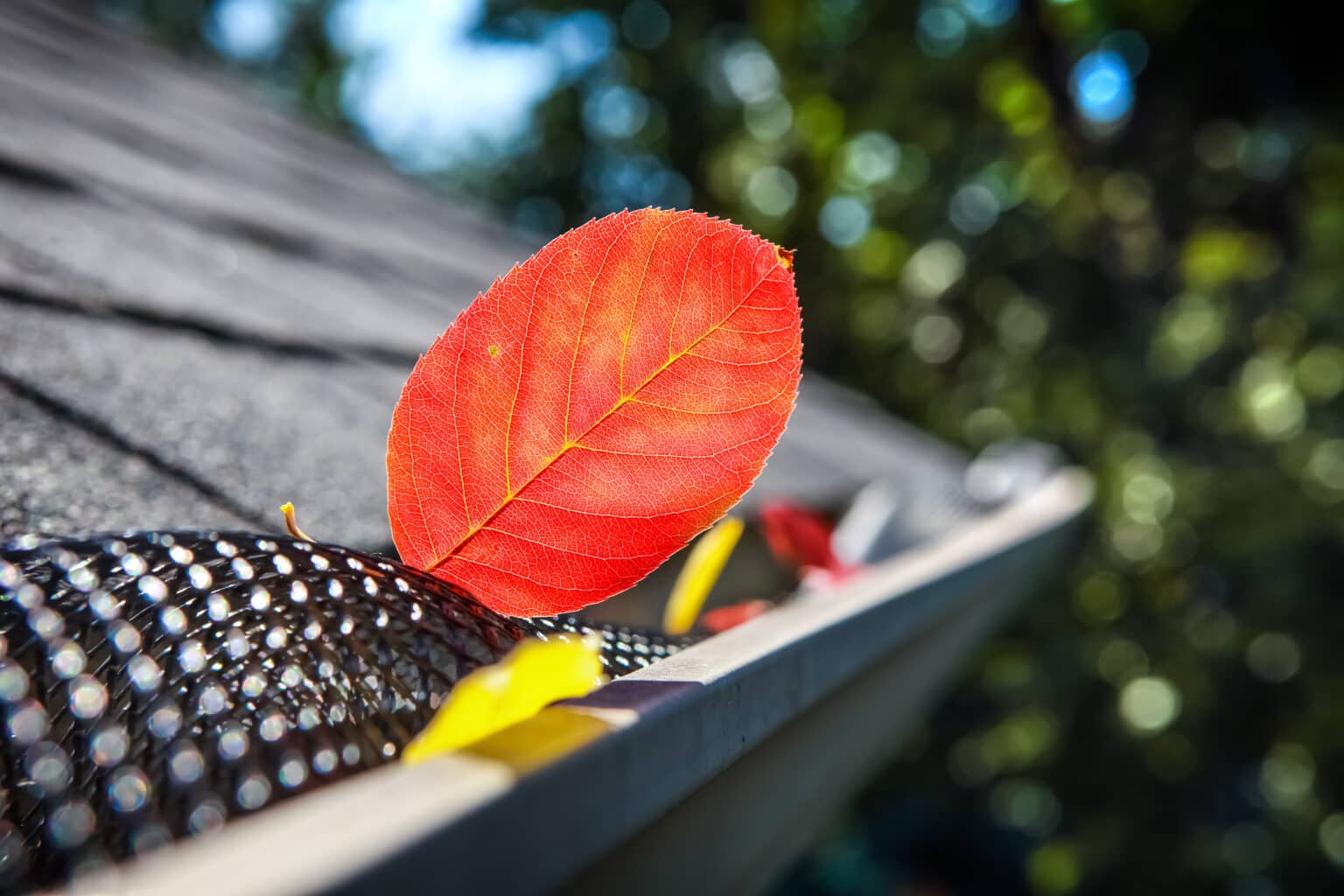 Gutter Installation Cost or Replacement (2024 Guide)