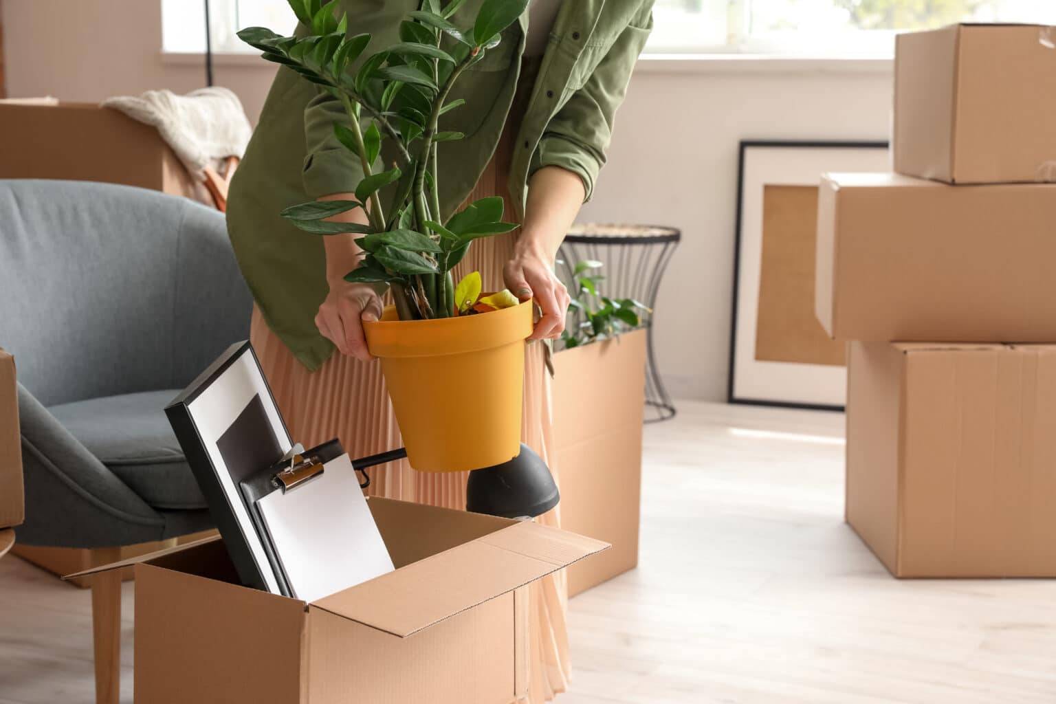 The 7 Best Pet Shipping Companies (2024)