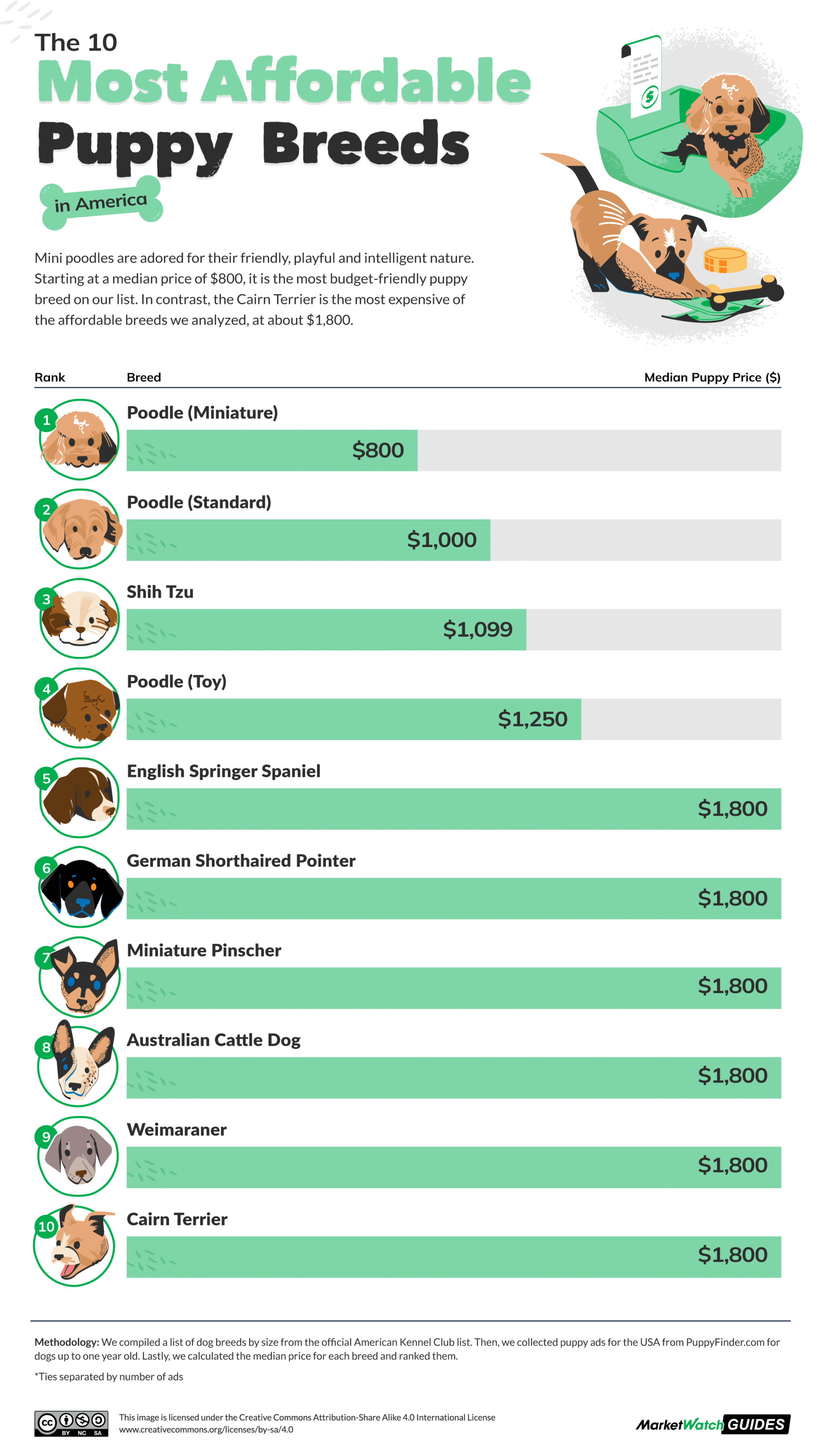 The Most and Least Expensive Puppy Breeds