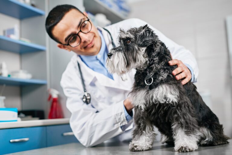 How Much Does a Vet Visit Cost in 2024?