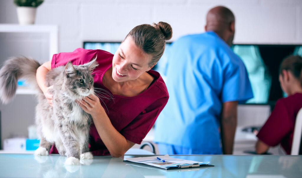 Can You Cancel Pet Insurance at Any Time?