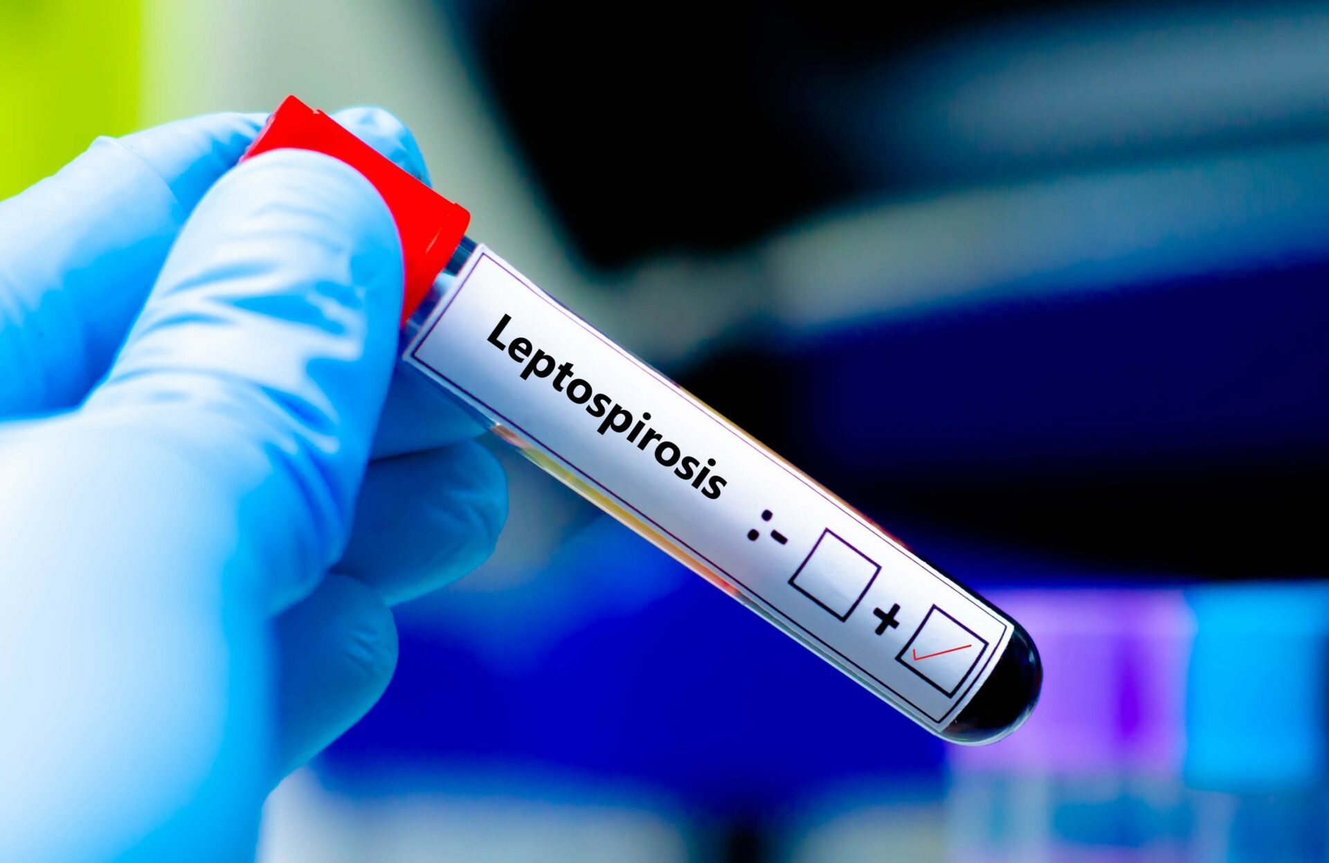 How Much Does the Lepto Vaccine for Dogs Cost? 2025 Guide