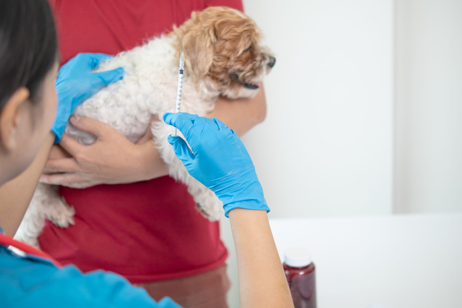 Does Pet Insurance Cover Vaccinations?